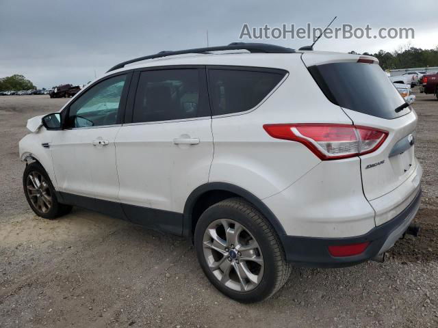 2013 Ford Escape Sel Белый vin: 1FMCU0H9XDUB78271