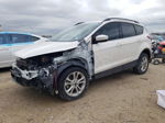 2019 Ford Escape Sel White vin: 1FMCU0HD1KUA62569