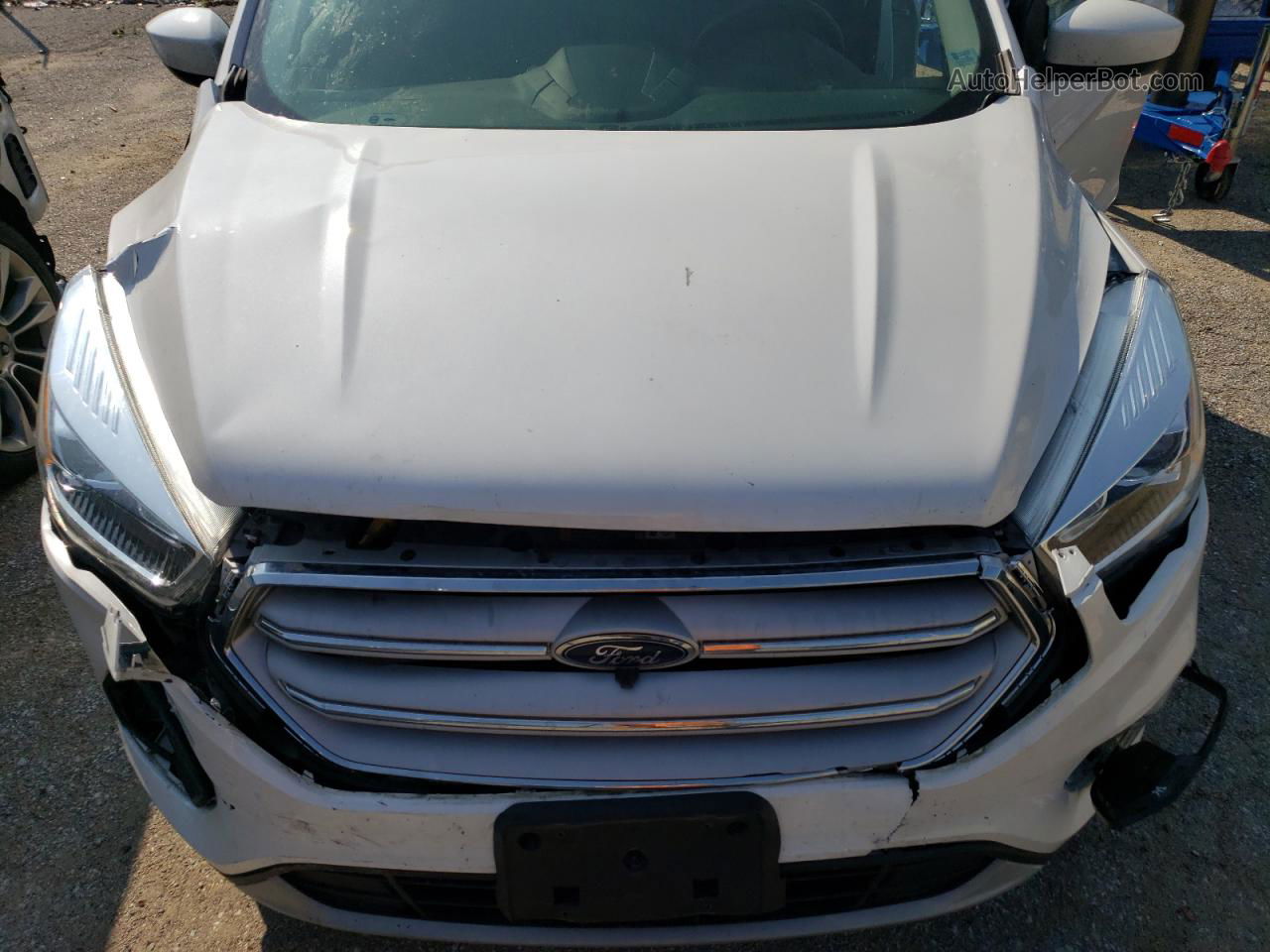 2019 Ford Escape Sel White vin: 1FMCU0HD9KUC31379