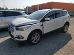 2019 Ford Escape Sel Белый vin: 1FMCU0HD9KUC31379