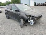 2013 Ford Escape Sel Two Tone vin: 1FMCU0HX0DUB22449