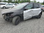 2013 Ford Escape Sel Two Tone vin: 1FMCU0HX0DUB22449