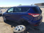 2013 Ford Escape Sel Blue vin: 1FMCU0HX1DUB23352