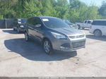 2013 Ford Escape Sel Gray vin: 1FMCU0HX1DUC78287