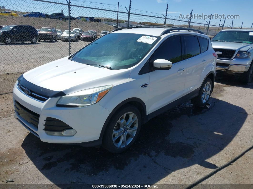 2013 Ford Escape Sel White vin: 1FMCU0HX1DUD01972