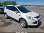 2013 Ford Escape Sel White vin: 1FMCU0HX1DUD01972