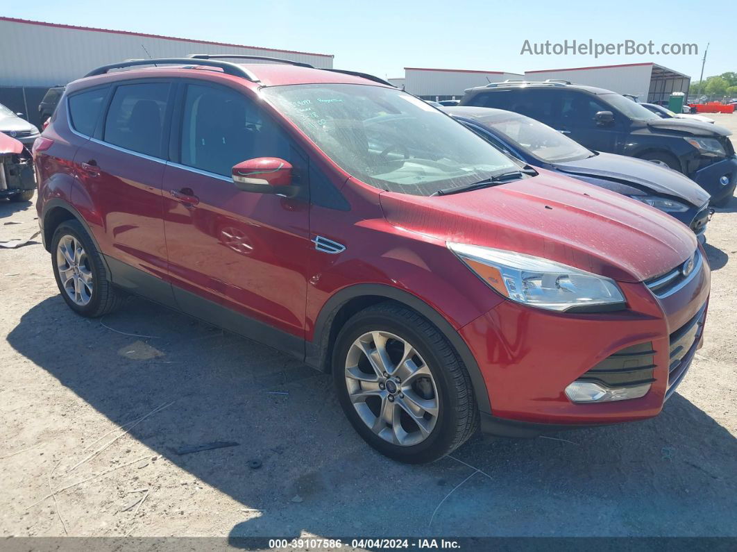 2013 Ford Escape Sel Red vin: 1FMCU0HX1DUD67471