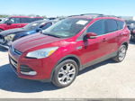 2013 Ford Escape Sel Red vin: 1FMCU0HX1DUD67471