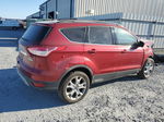 2013 Ford Escape Sel Red vin: 1FMCU0HX1DUD84030