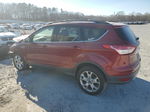 2013 Ford Escape Sel Красный vin: 1FMCU0HX1DUD84030