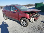 2013 Ford Escape Sel Red vin: 1FMCU0HX1DUD84030