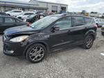 2013 Ford Escape Sel Черный vin: 1FMCU0HX2DUA04872