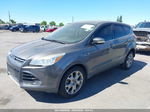 2013 Ford Escape Sel Gray vin: 1FMCU0HX3DUA55099