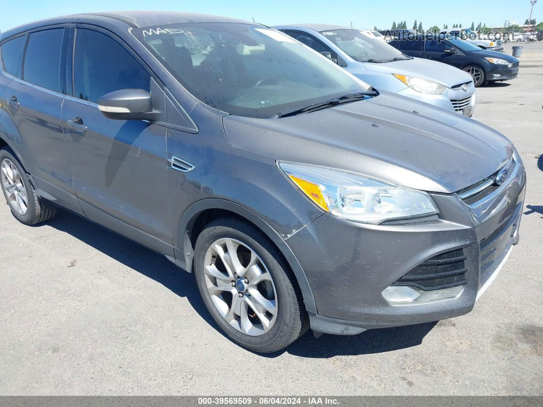 2013 Ford Escape Sel Gray vin: 1FMCU0HX3DUA55099