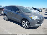 2013 Ford Escape Sel Gray vin: 1FMCU0HX3DUA55099