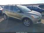 2013 Ford Escape Sel Green vin: 1FMCU0HX3DUA90595