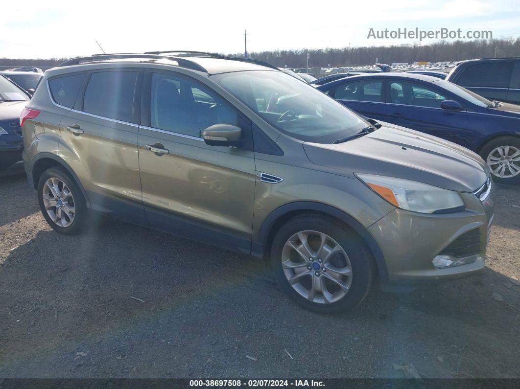 2013 Ford Escape Sel Green vin: 1FMCU0HX3DUA90595