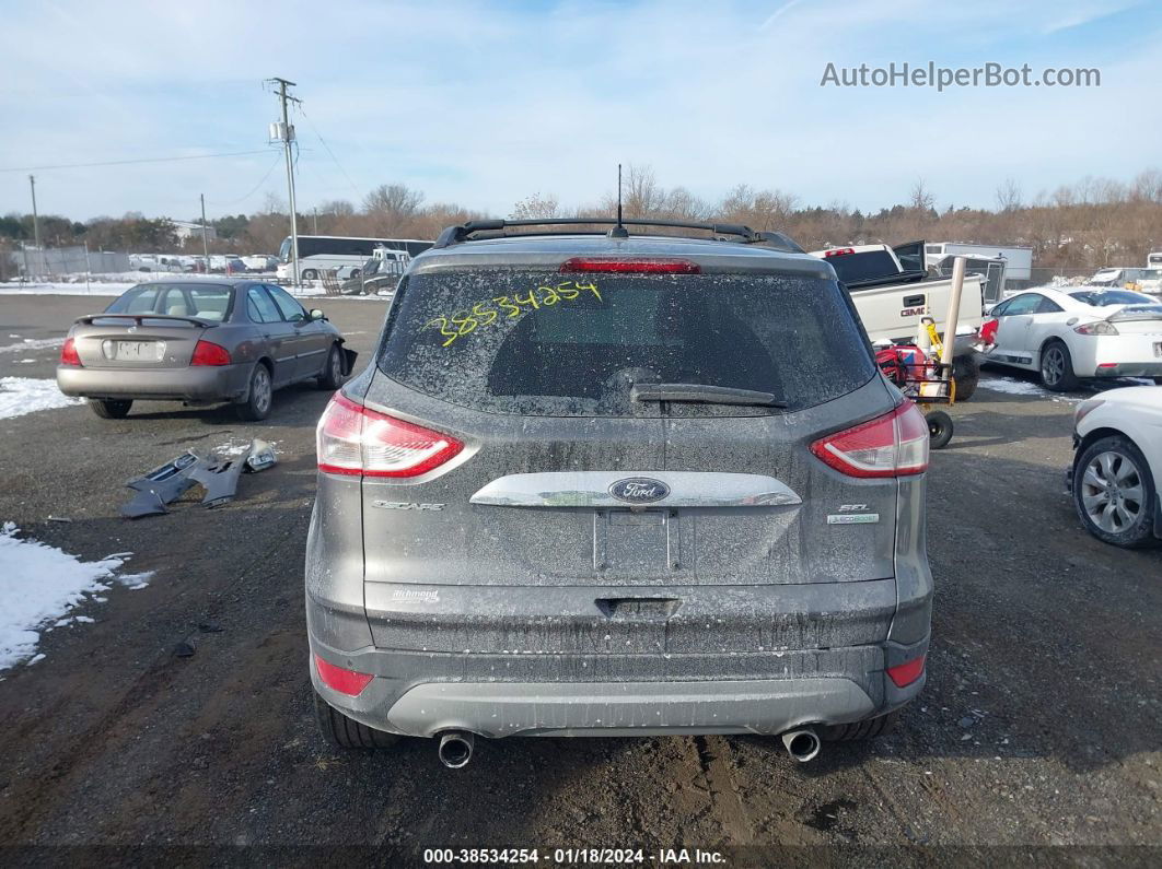 2013 Ford Escape Sel Gray vin: 1FMCU0HX4DUA28445