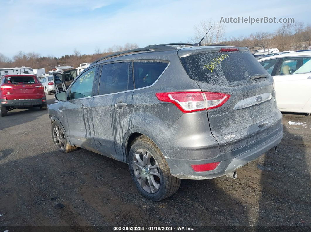 2013 Ford Escape Sel Gray vin: 1FMCU0HX4DUA28445