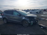 2013 Ford Escape Sel Gray vin: 1FMCU0HX4DUA28445