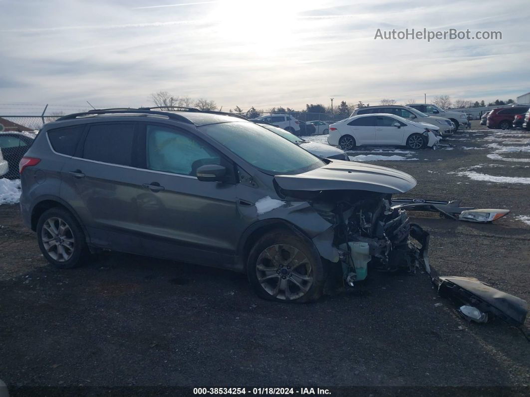 2013 Ford Escape Sel Gray vin: 1FMCU0HX4DUA28445