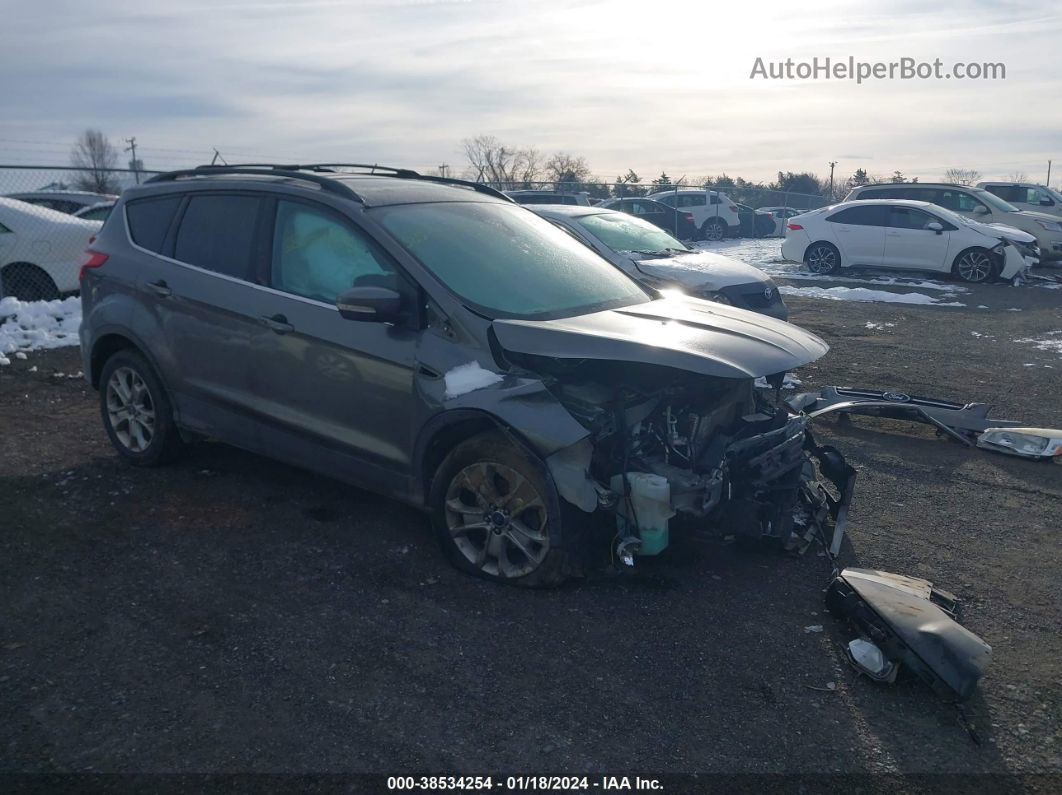 2013 Ford Escape Sel Gray vin: 1FMCU0HX4DUA28445