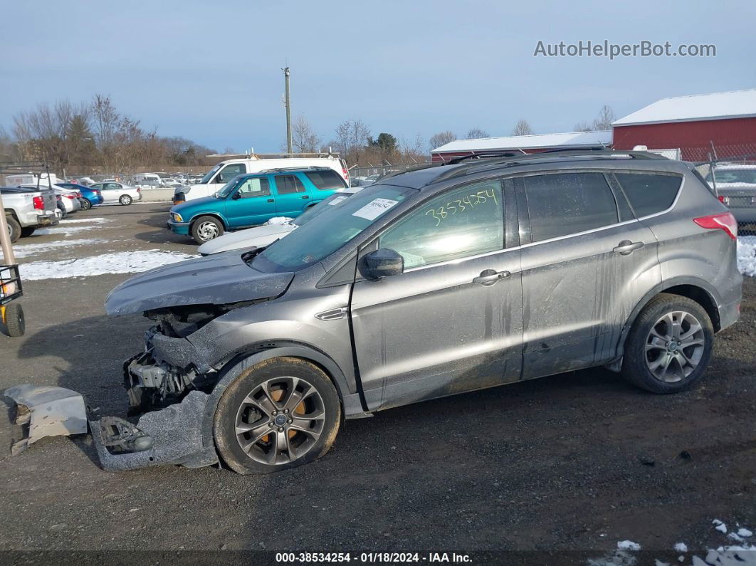 2013 Ford Escape Sel Gray vin: 1FMCU0HX4DUA28445