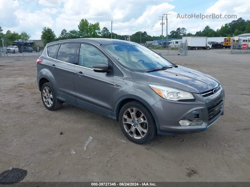 2013 Ford Escape Sel Gray vin: 1FMCU0HX4DUB66003