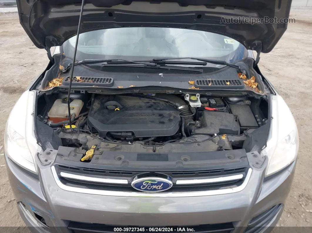 2013 Ford Escape Sel Серый vin: 1FMCU0HX4DUB66003