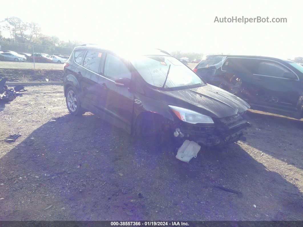 2013 Ford Escape Sel Black vin: 1FMCU0HX4DUB90799