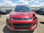 2013 Ford Escape Sel Red vin: 1FMCU0HX4DUD83213