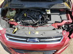 2013 Ford Escape Sel Red vin: 1FMCU0HX4DUD83213