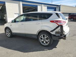 2013 Ford Escape Sel White vin: 1FMCU0HX5DUA55055