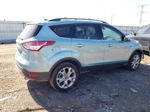 2013 Ford Escape Sel Turquoise vin: 1FMCU0HX5DUB30823