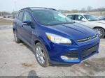 2013 Ford Escape Sel Blue vin: 1FMCU0HX5DUC86053