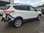 2013 Ford Escape Sel White vin: 1FMCU0HX5DUD64346