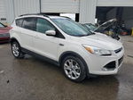 2013 Ford Escape Sel White vin: 1FMCU0HX5DUD64346