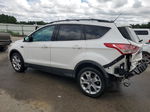 2013 Ford Escape Sel White vin: 1FMCU0HX5DUD64346