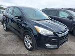 2013 Ford Escape Sel Black vin: 1FMCU0HX6DUB51518