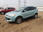 2013 Ford Escape Sel Green vin: 1FMCU0HX6DUD11106