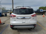 2013 Ford Escape Sel White vin: 1FMCU0HX7DUD50464