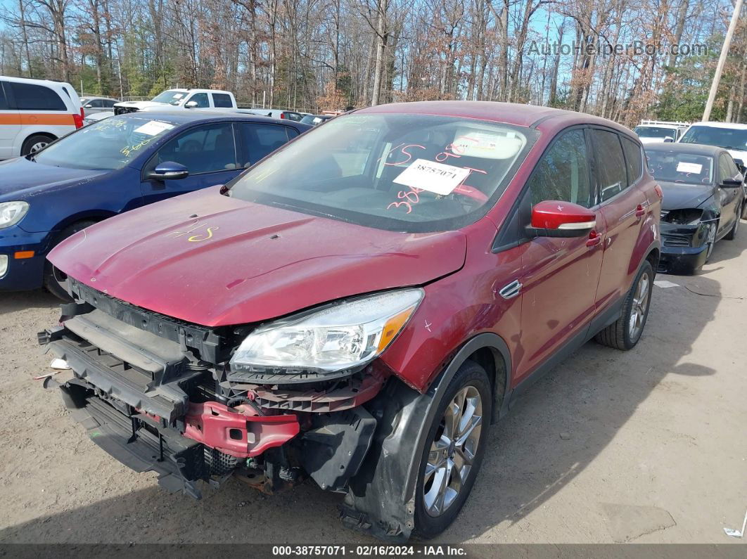 2013 Ford Escape Sel Red vin: 1FMCU0HX8DUA13494