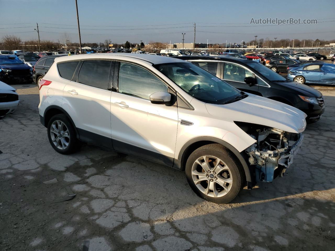 2013 Ford Escape Sel White vin: 1FMCU0HX8DUB38592