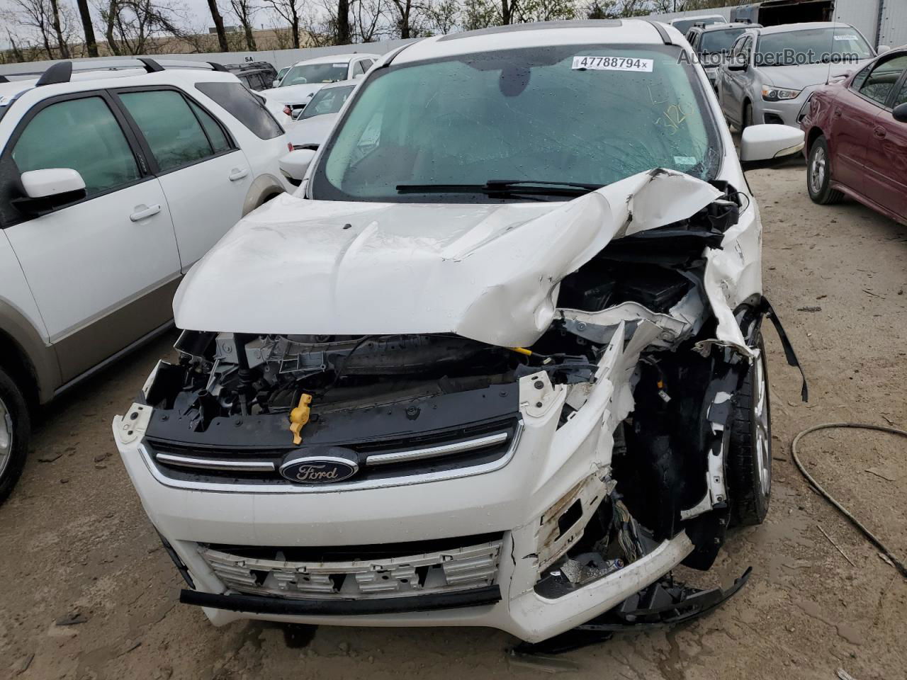 2013 Ford Escape Sel White vin: 1FMCU0HX8DUB70460