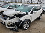 2013 Ford Escape Sel White vin: 1FMCU0HX8DUB70460