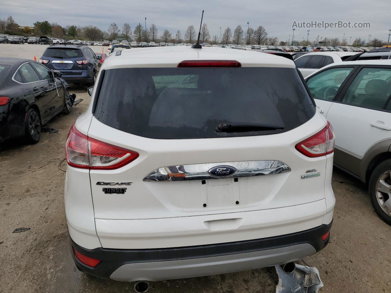 2013 Ford Escape Sel Белый vin: 1FMCU0HX8DUB70460