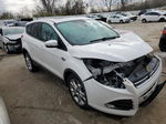 2013 Ford Escape Sel Белый vin: 1FMCU0HX8DUB70460