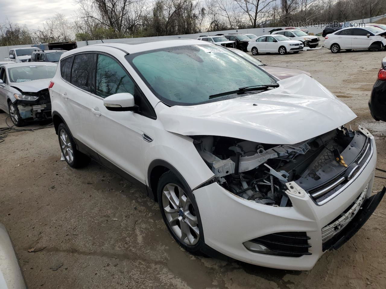 2013 Ford Escape Sel White vin: 1FMCU0HX8DUB70460