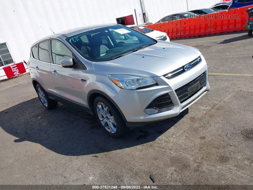 2013 Ford Escape Sel Gray vin: 1FMCU0HX9DUA55110