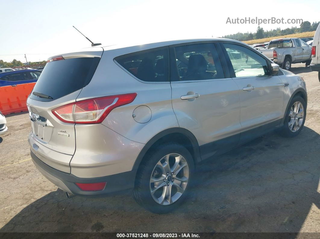 2013 Ford Escape Sel Gray vin: 1FMCU0HX9DUA55110